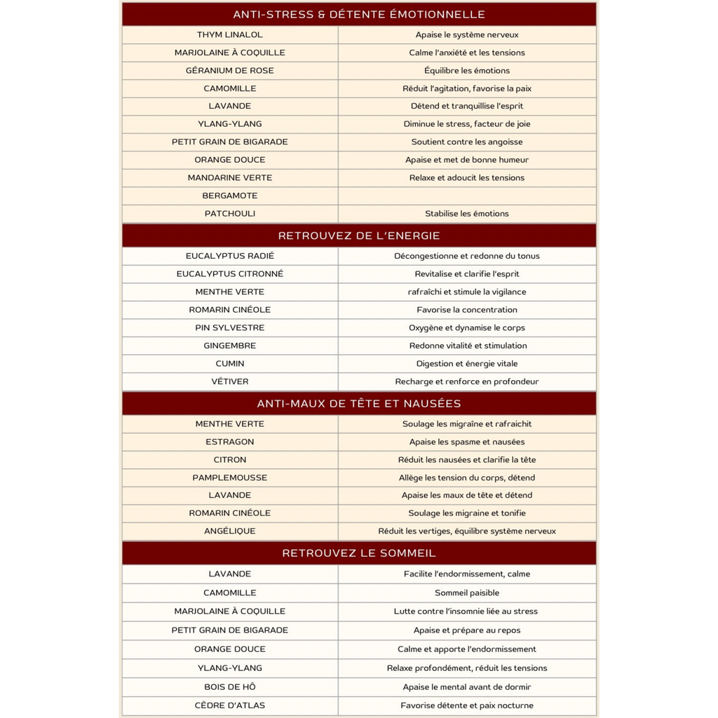 Mini Terrah découverte