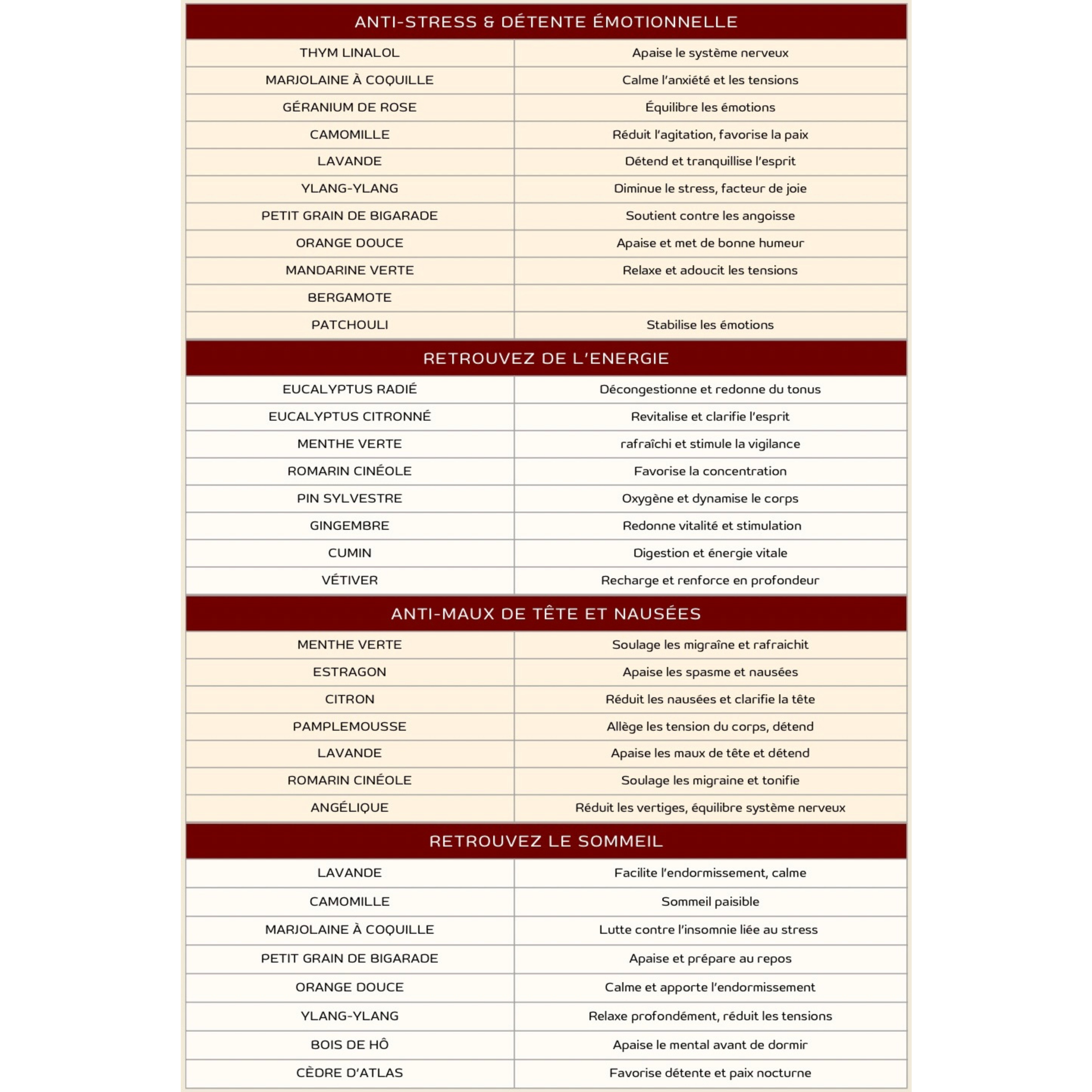 Mini Terrah découverte